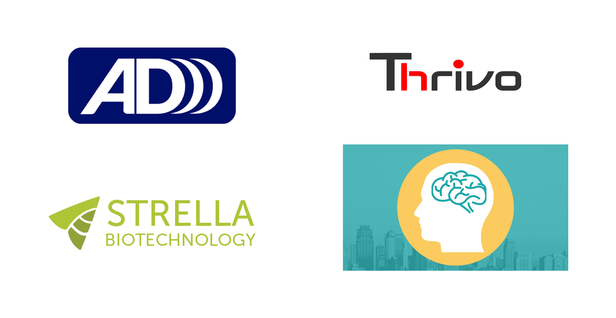 Introducing the Fall 2019 RAPID Cohort