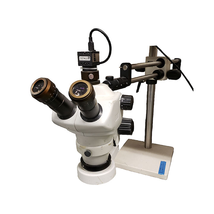 microscope