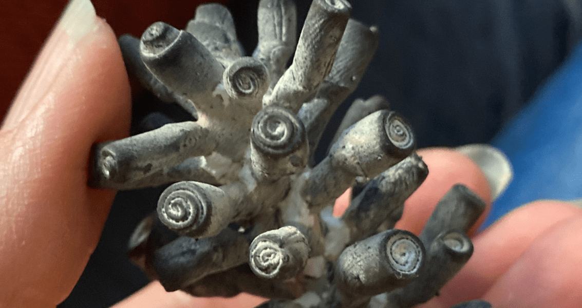 Casting for Jewelry: The Lost Wax Process